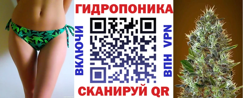Конопля гибрид  купить  цена  Бокситогорск 